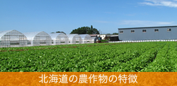 北海道の農作物の特徴