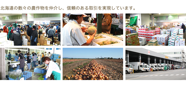 北海道の数々の農作物を仲介し、信頼のある取引を実現しています。